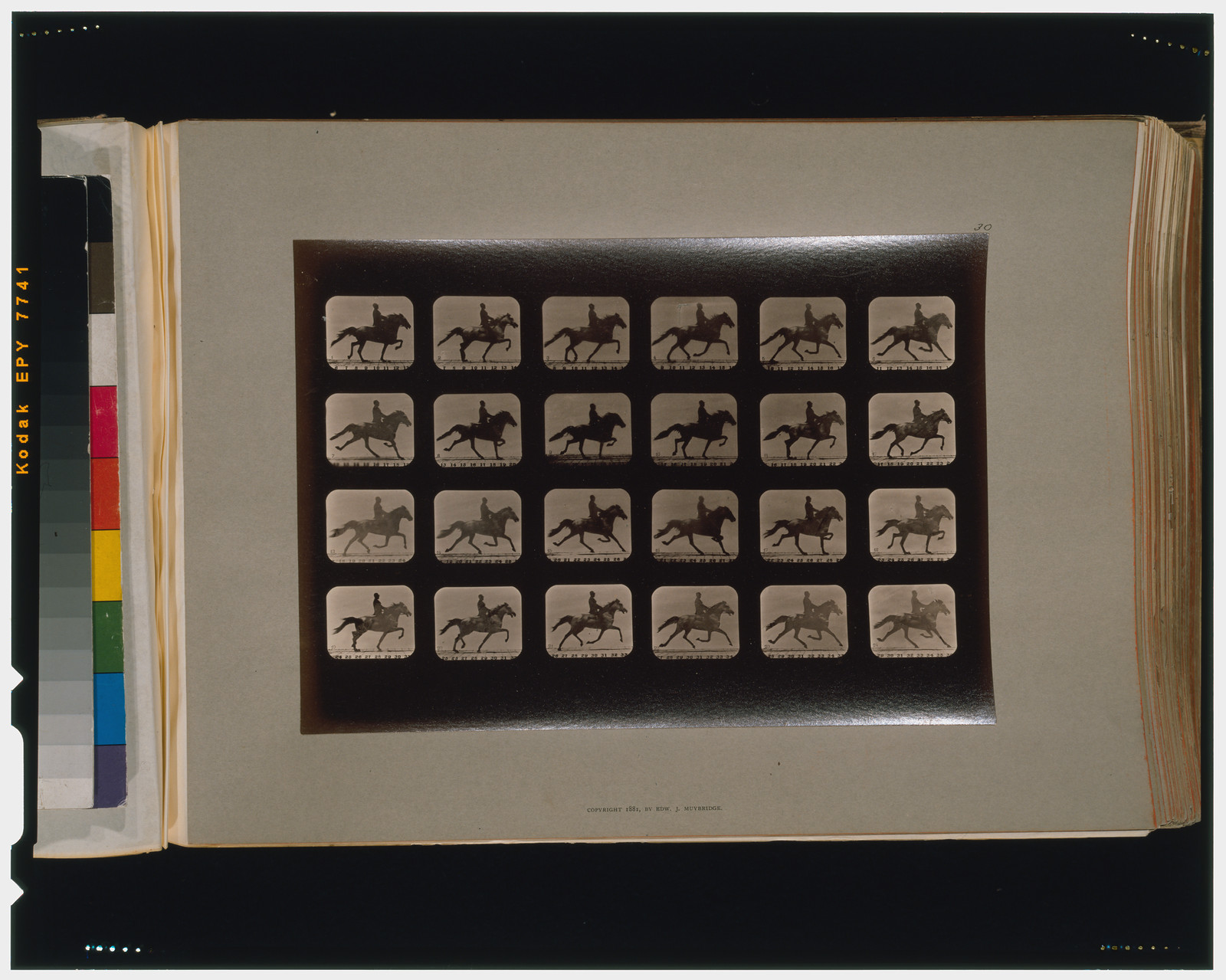 Horses. Trotting, [San Francisco] : Muybridge, c1881. — historic photograph