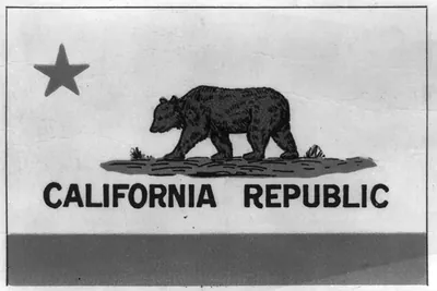 [California state flag depicting grizzly bear emblem over the words California Republic"]"
