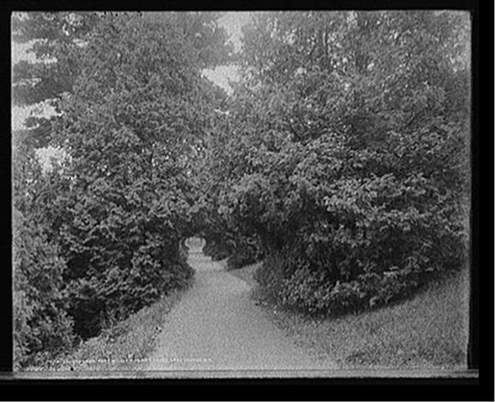Lovers' lane, Fort William Henry Hotel, Lake George,N.Y., [between 1900 and 1910] — historic photograph