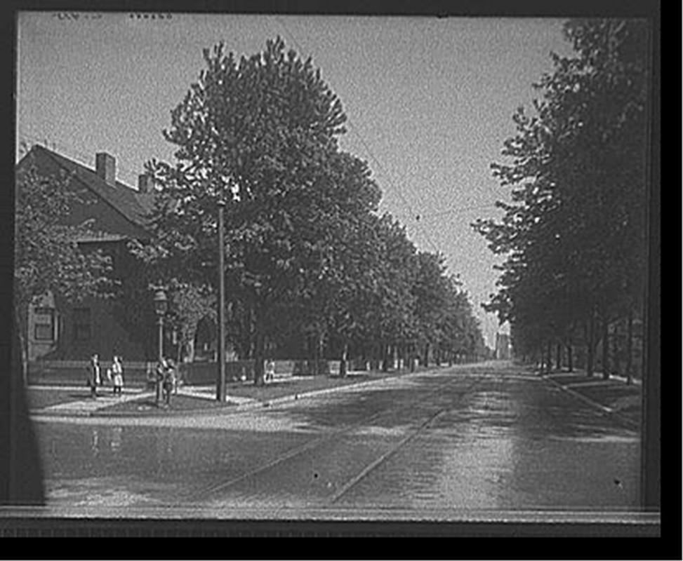 [Walkerville, Ont., Devonshire Road, looking south], [between 1905 and 1915] — historic photograph