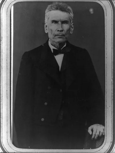 [General Santiago Vidaurri, half-length portrait, standing, facing front]