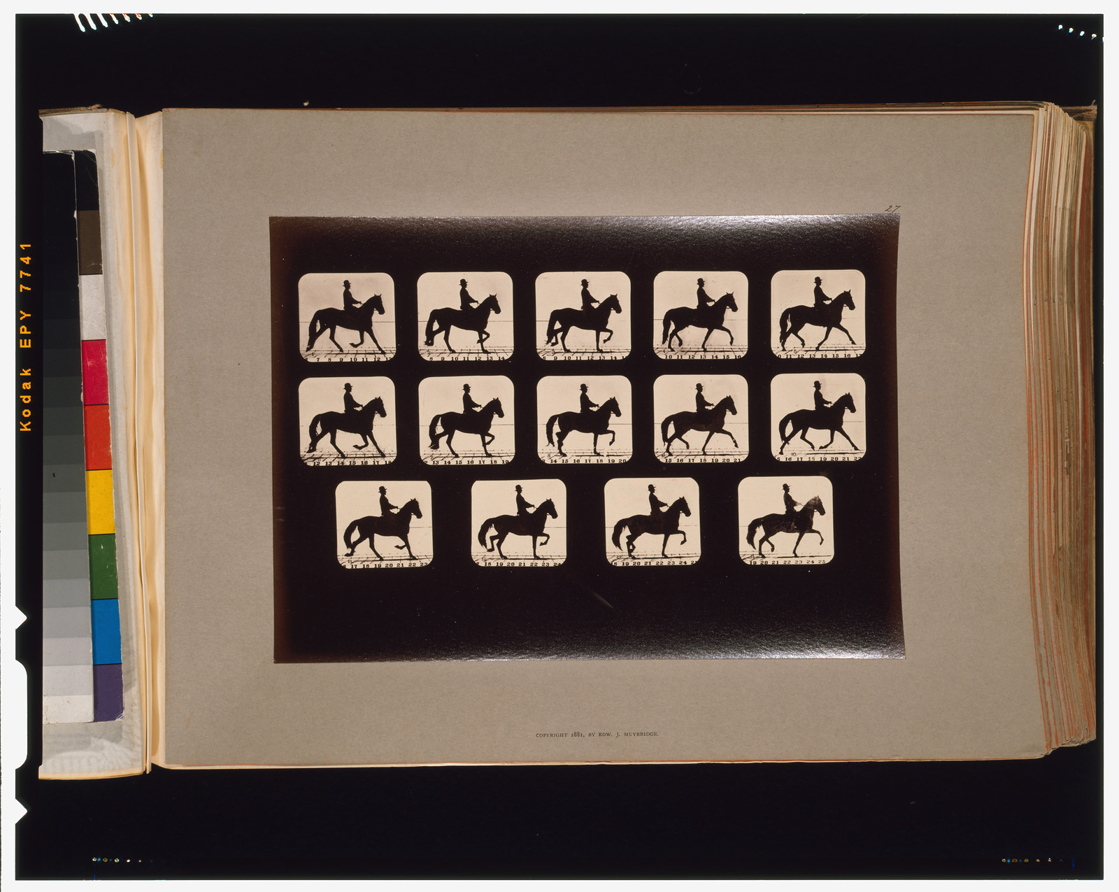 Horses. Trotting, [San Francisco] : Muybridge, c1881. — historic photograph
