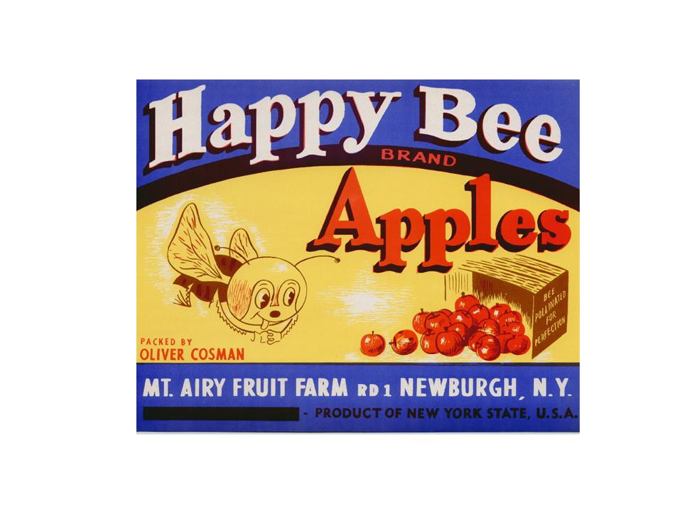 Happy Bee Brand Apples crate label, Mt. Airy Fruit Farm, Newburgh — historic image