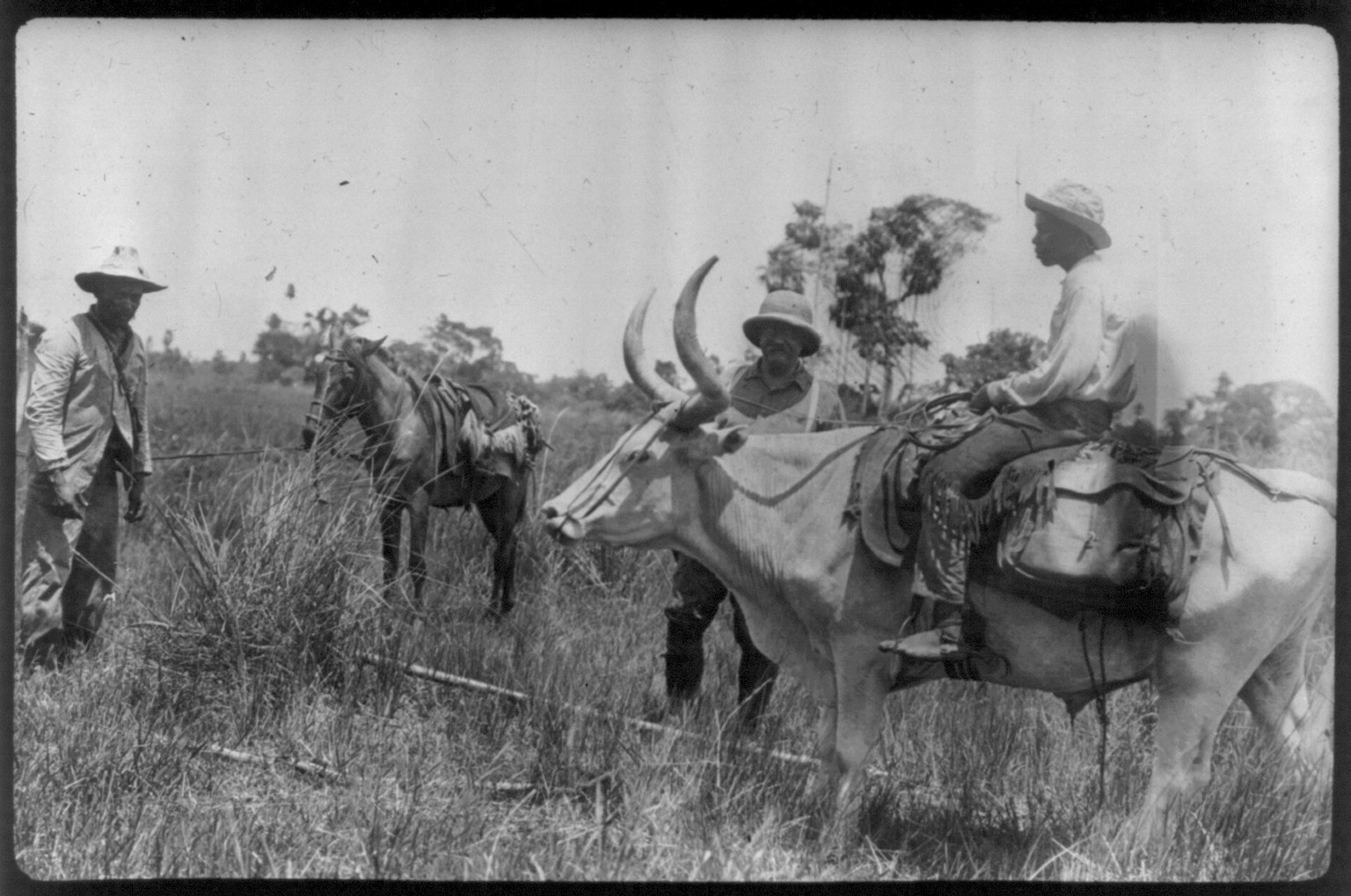 [Theodore Roosevelt, 1858-1919; lantern slide of Roosevelt's Brazil expedition, 1913, taken by his son Kermit] — historic image