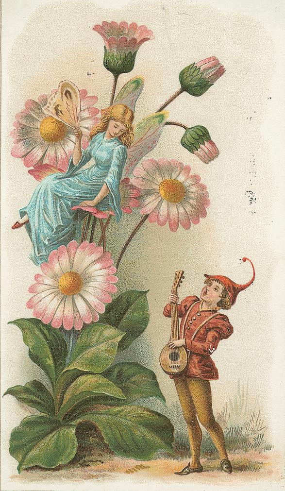 Fairy seated on a daisy beside a lute-playing elf — historic image