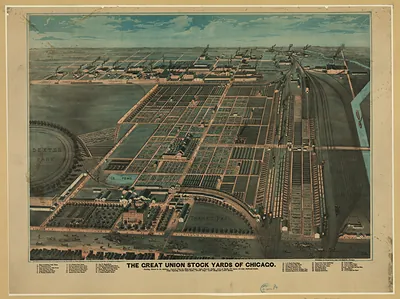 The Great Union Stock Yards of Chicago