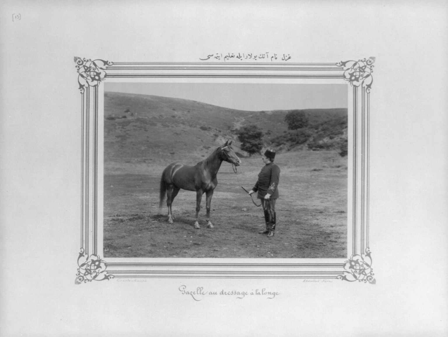 [The horse named Gazal exercising with halter] / Constantinople, Abdullah Frères., [between 1880 and 1893] — historic photograph