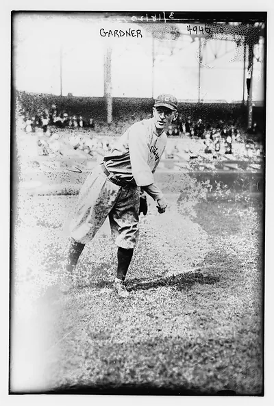 Gardner