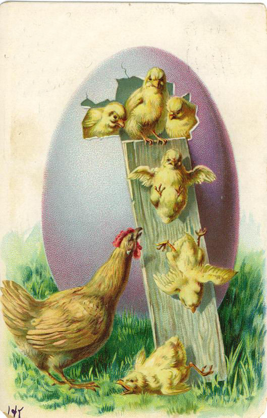 Vintage Easter postcard with chicks, hen and egg — vintage postcard
