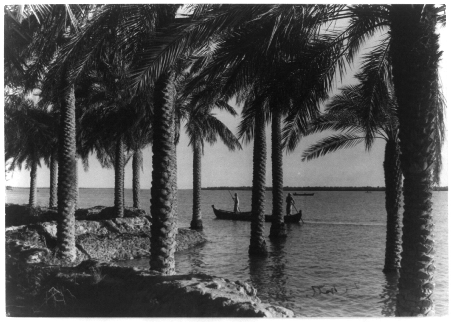 The Shatt al-Arab from Abadan Island, showing the date palms and, in the distance, the Iraq bank of the river, Iran, [no date recorded on caption card] — historic photograph