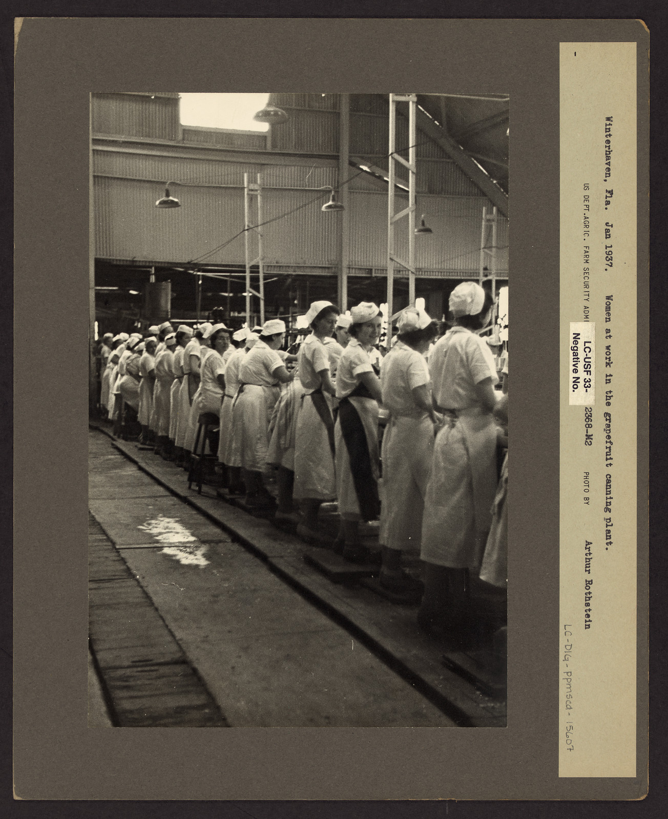 Women at work in the grapefruit canning plant, Winter Haven, Fla. — historic image