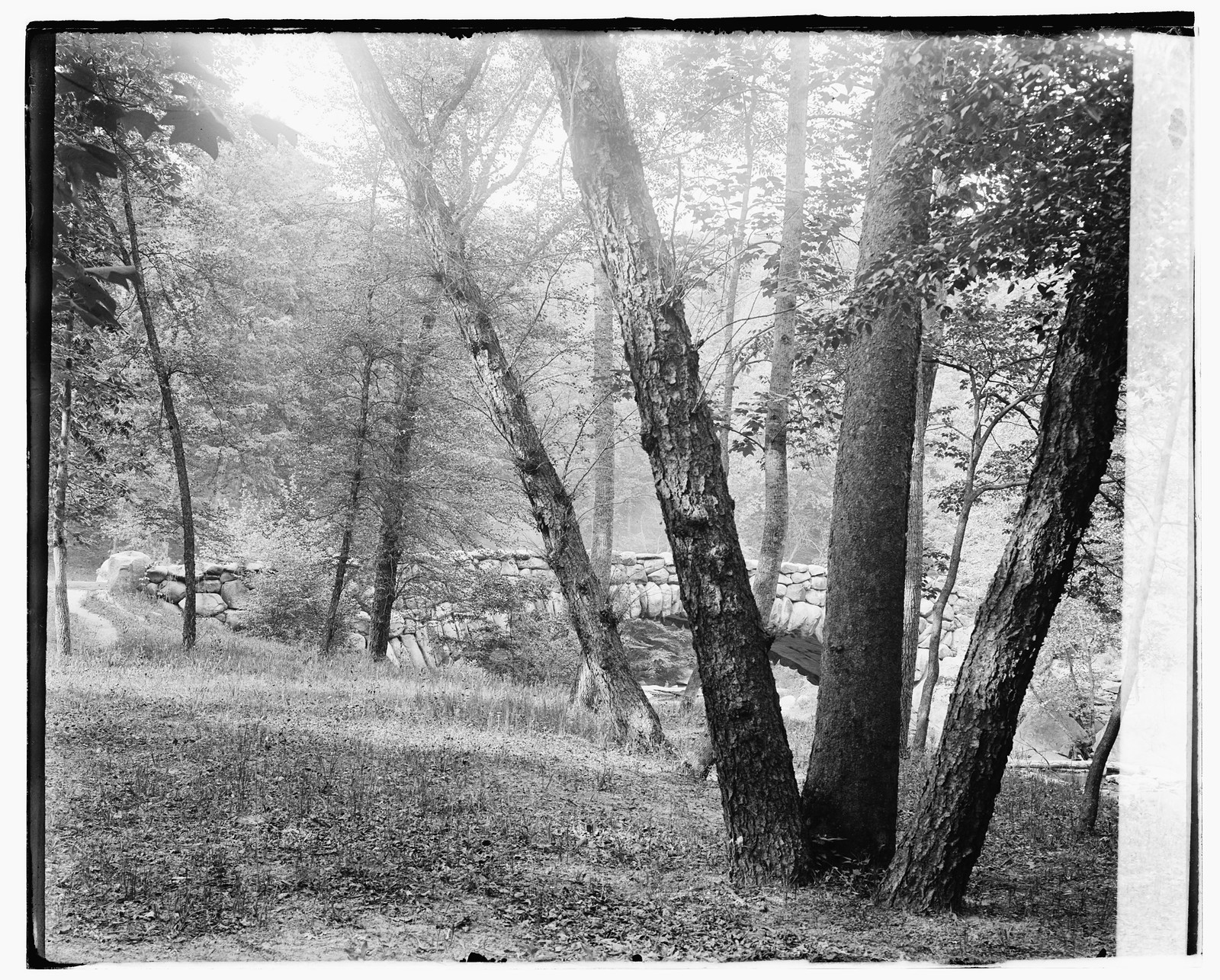 Rock Creek Park, [between 1918 and 1920] — historic photograph