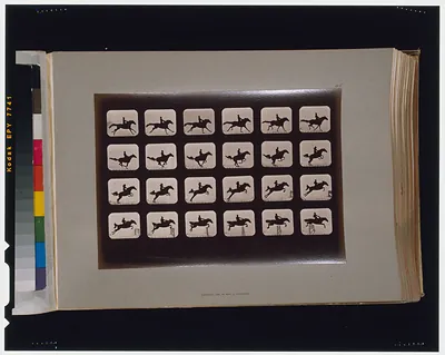 Horses. Leaping a 3 ft. 6 hurdle