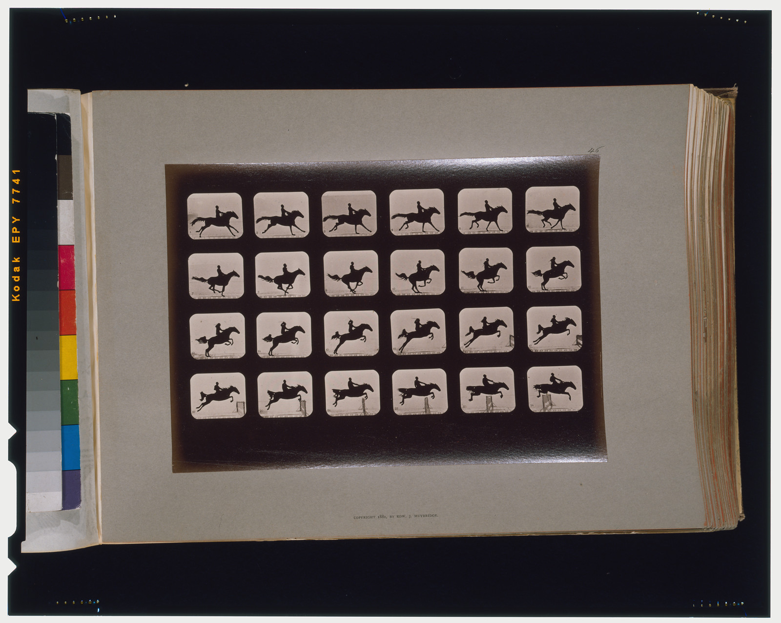 Horses. Leaping a 3 ft. 6 hurdle, [San Francisco] : Muybridge, c1881. — historic photograph