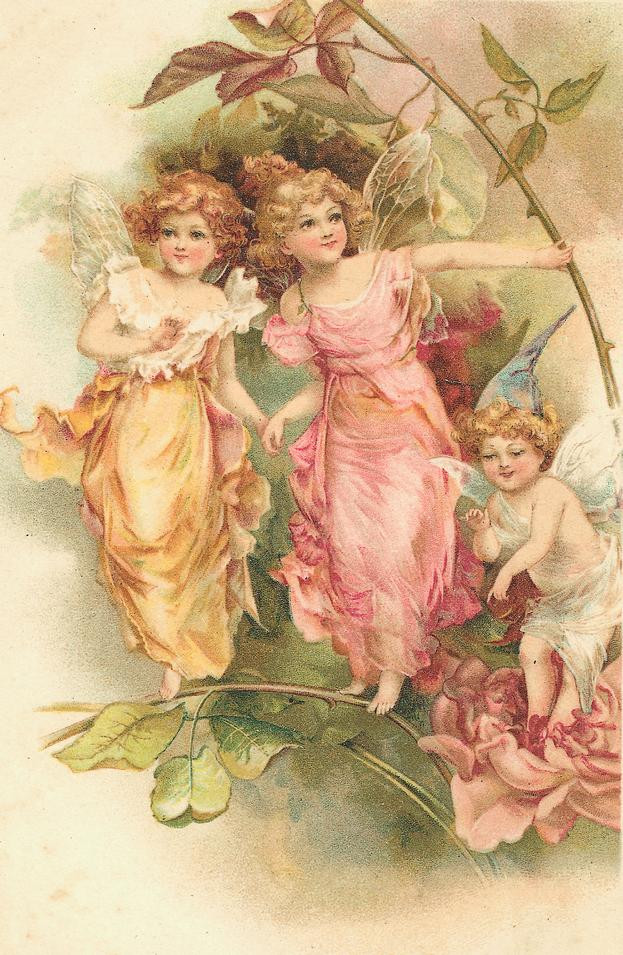 Three winged fairies in pink and gold dresses — historic image