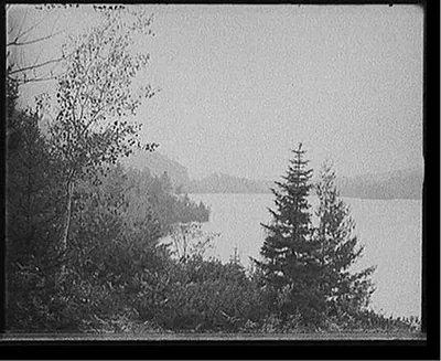 [Lower Loon Lake, Adirondack Mts., N.Y.]
