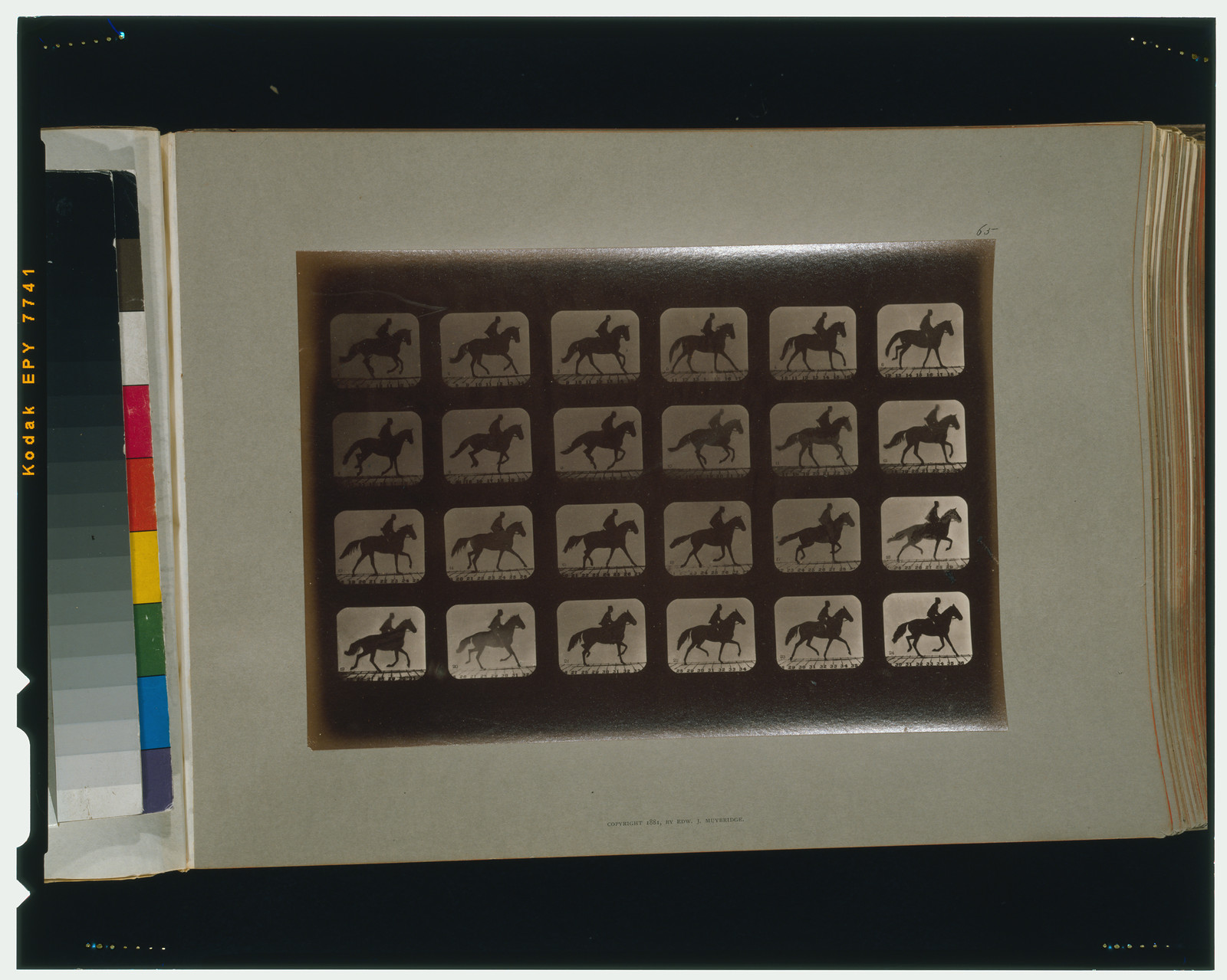Horses. Irregular, [San Francisco] : Muybridge, c1881. — historic photograph