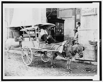 Fruit vender's [sic] cart, Havana, Cuba
