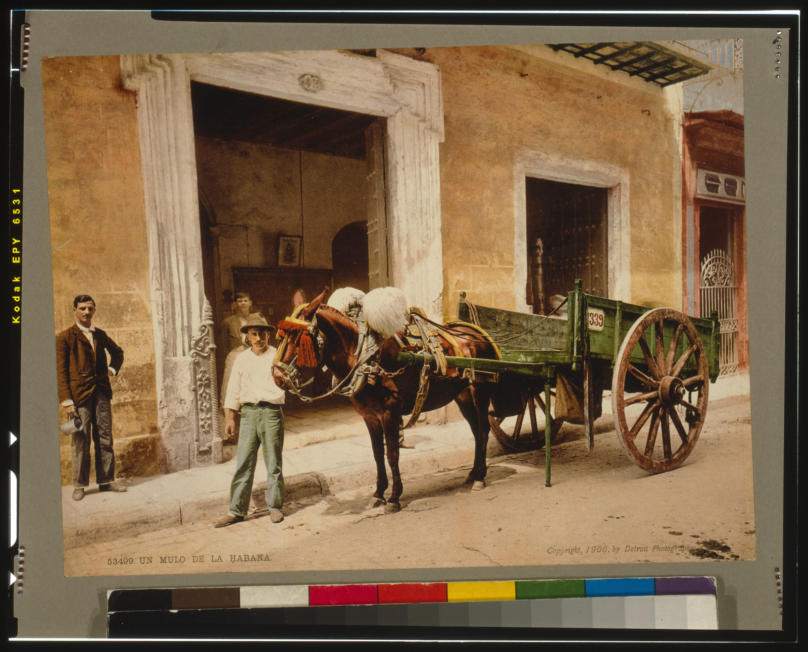 Un mulo de la Habana, c1900. — historic print