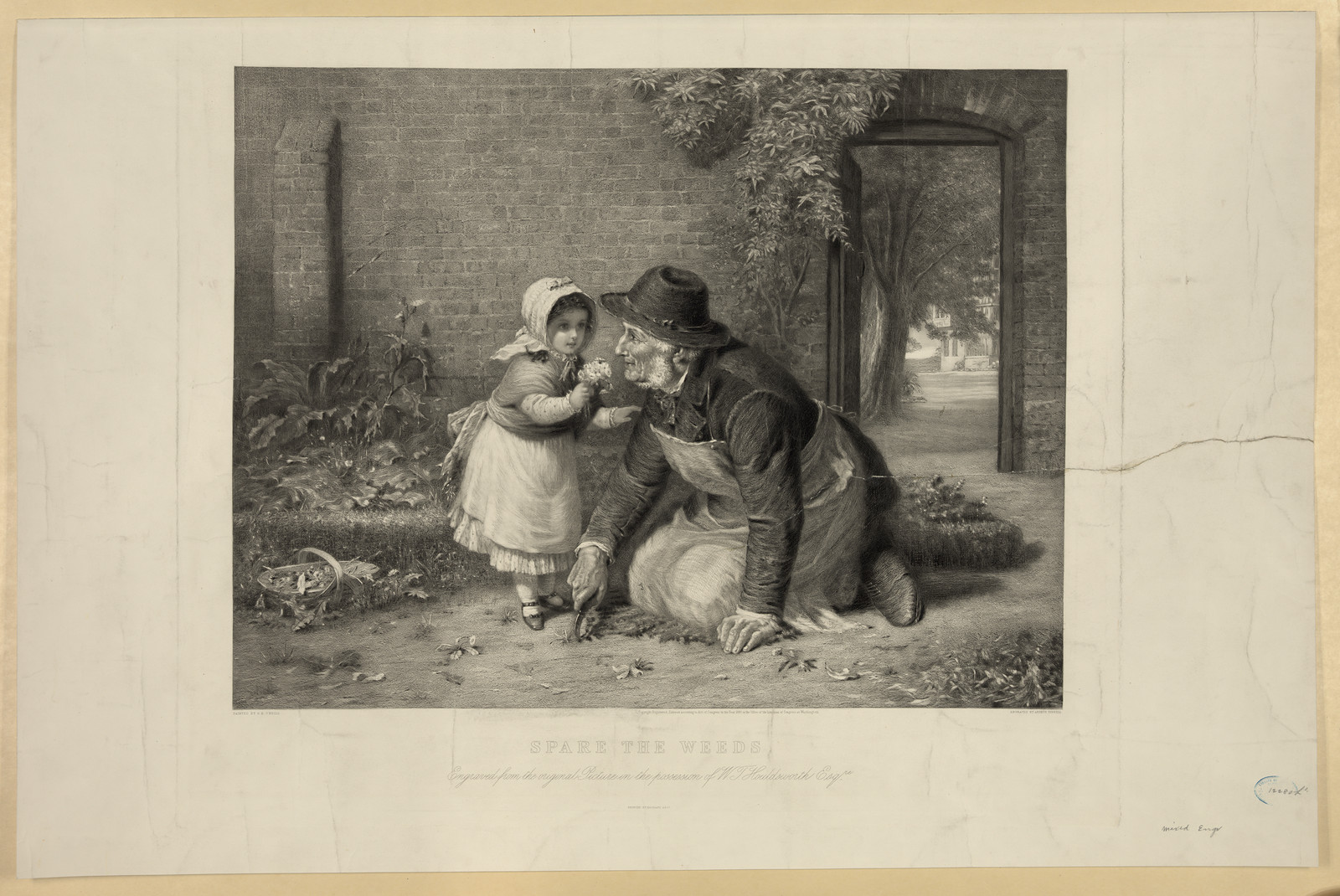 Spare the Weeds: engraving of a girl and old man in garden — antique engraving