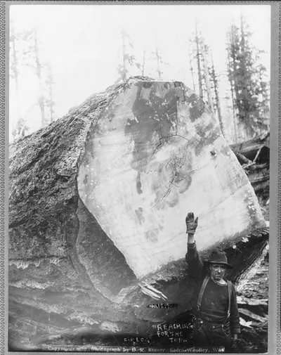 Cascade Mountains, near Seattle, Wash.: [Man reacing toward top of huge fir log]