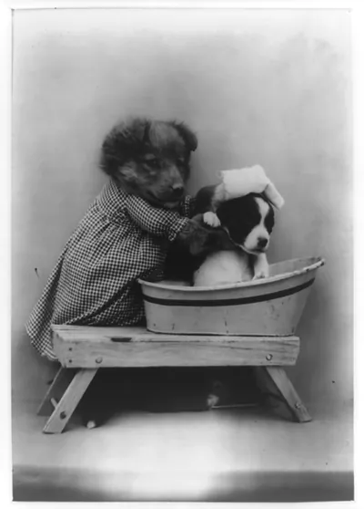 The bath
