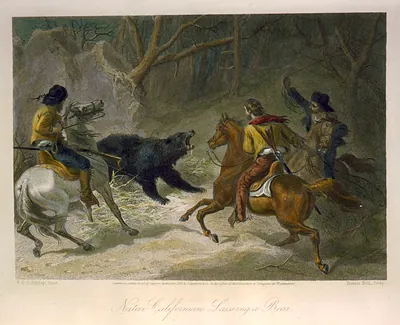 Native Californians lassoing a bear / F.O.C. Darley, fecit ; Francis Holl, sculp.