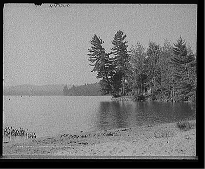 Tamarack Pt., the Antlers, Raquette Lake, Adirondack Mts., N.Y.