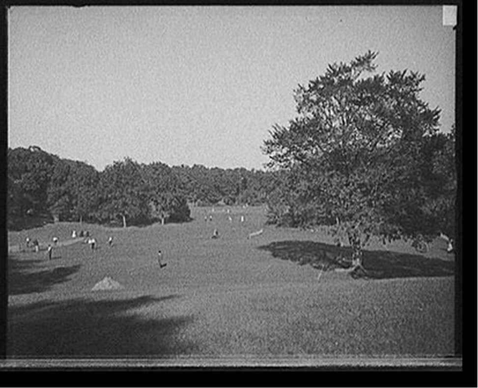[Tennis courts, Franklin Park, Boston, Mass.], [1906?] — historic photograph