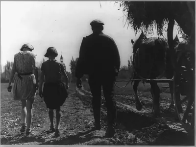 [Rear view of two girls, man, and horse walking]