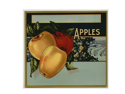 Crate label with three apples and orchard view