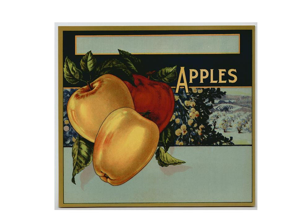 Crate label with three apples and orchard view — historic image