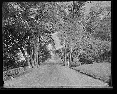 [Willow Arch (a Berkshire roadway), Stockbridge, Mass.]