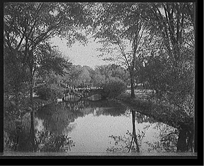 [Canal, Willow Island, Niagara Falls, N.Y.]