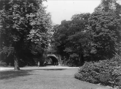 A view in Prospect Park, Brooklyn, New York City