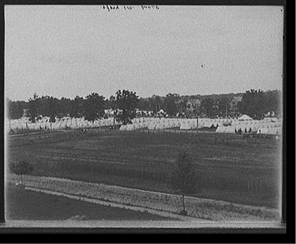 Detroit, Mich., Camp Pingree, [between 1900 and 1910] — historic photograph