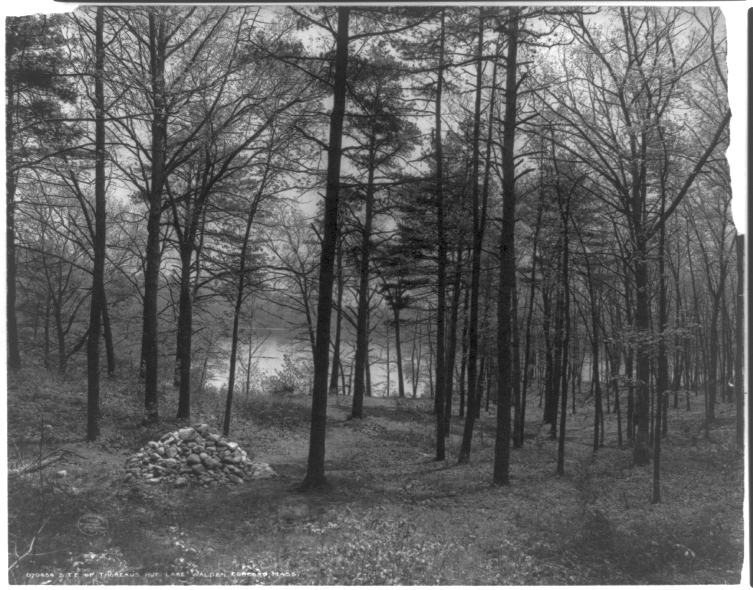 Site of Thoreau's hut, Lake Walden, Concord, Mass., c1908. — historic photograph