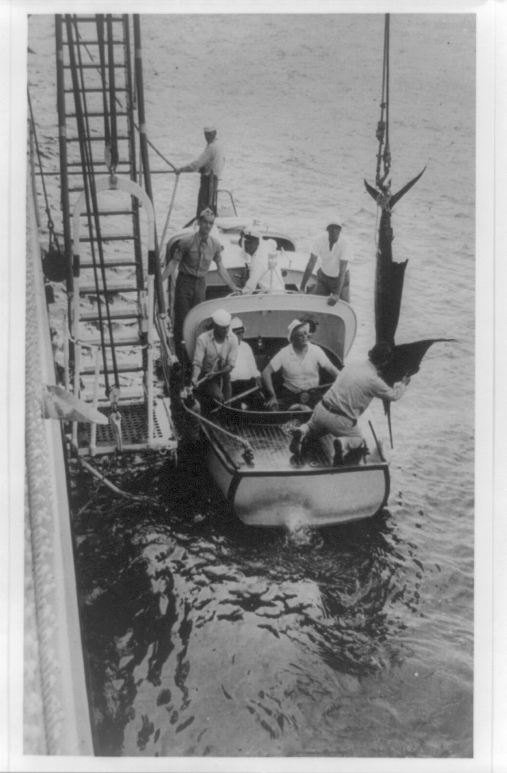 [Franklin D. Roosevelt with seven other men and sailfish on boat during trip to the Everglades], [between 1933 and 1945] — historic photograph
