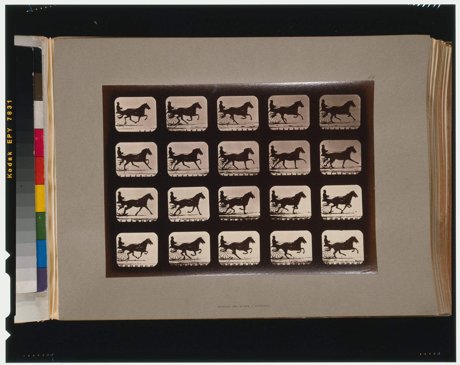 Horses. Irregular, [San Francisco] : Muybridge, c1881. — historic photograph