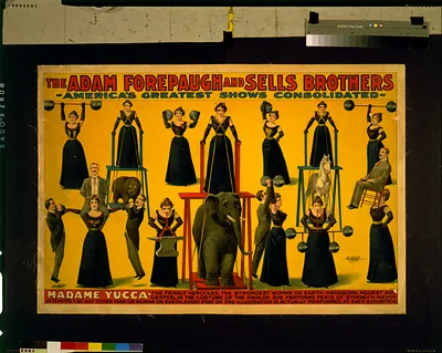The Adam Forepaugh and Sells Brothers--America's greatest shows consolidated--Madame Yucca, the female Hercules, the strongest woman on Earth [...]