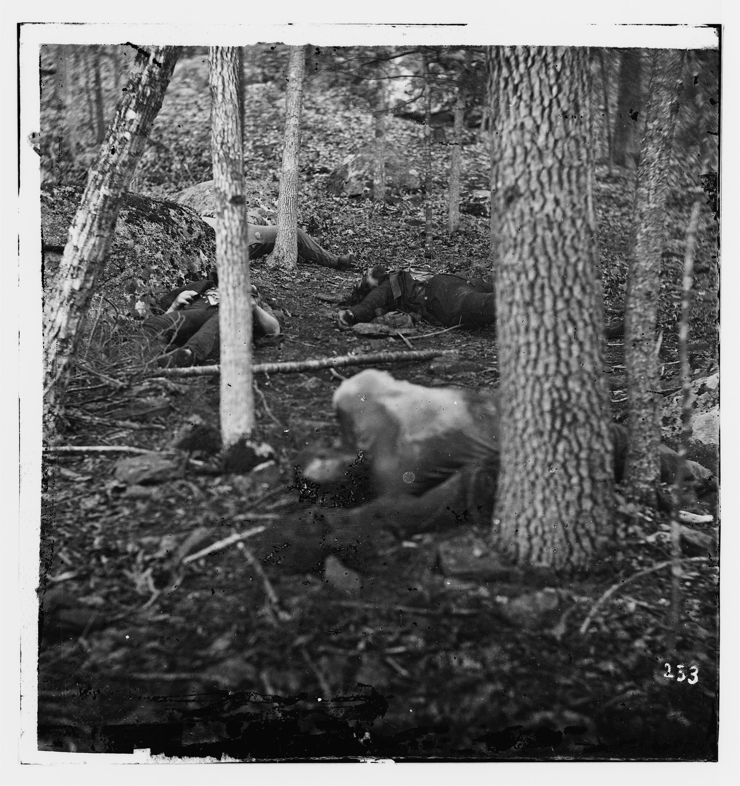 Gettysburg Pennsylvania. Slaughter pen at foot of Round Top, 1863 — historic photograph