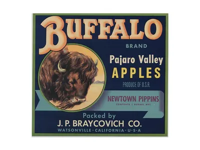 Buffalo Brand Pajaro Valley Apples crate label
