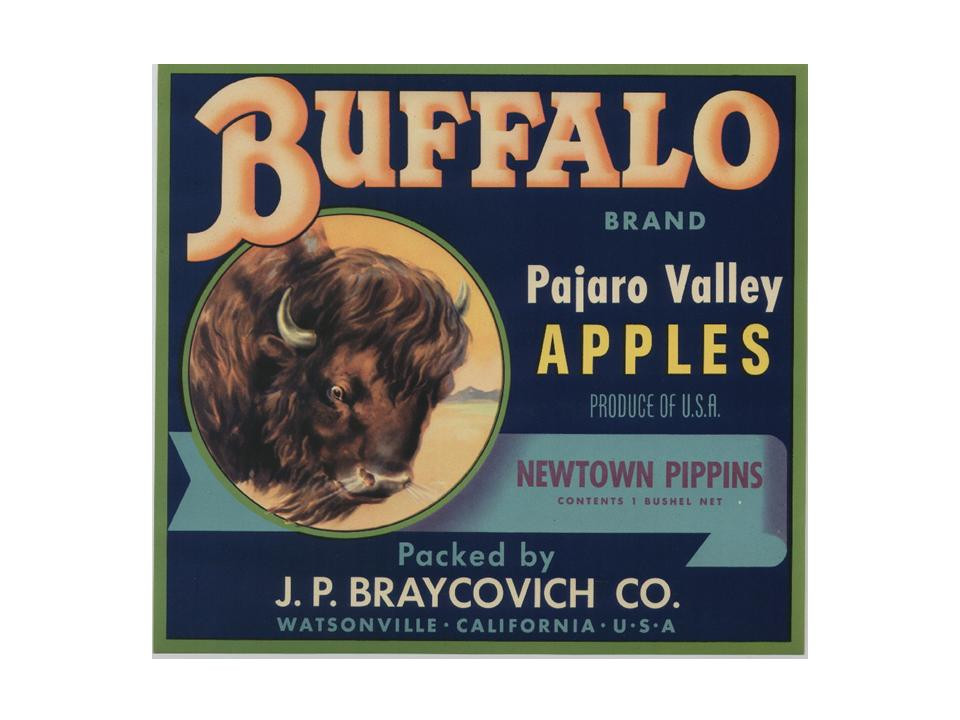 Buffalo Brand Pajaro Valley Apples crate label — historic image