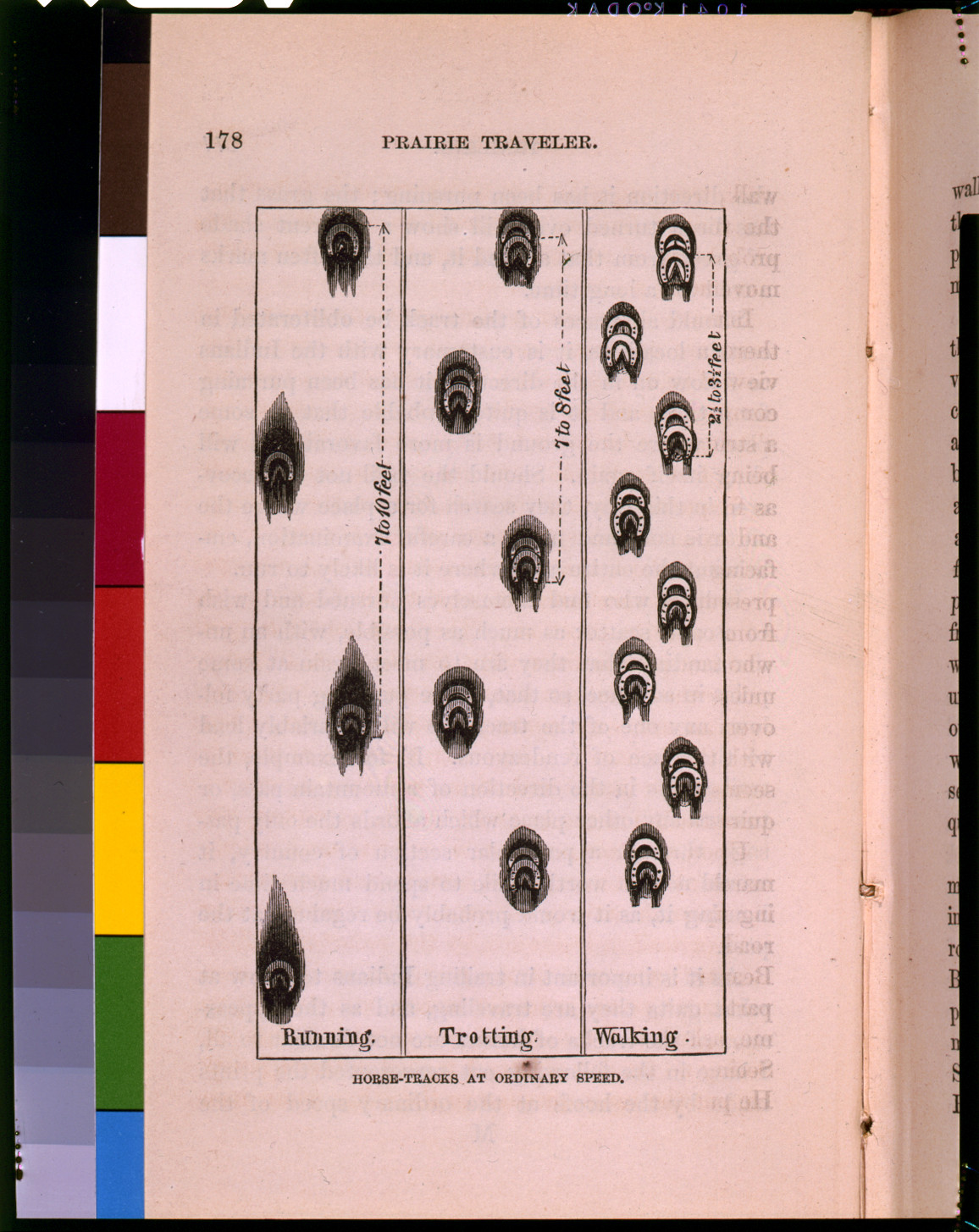 Horse-tracks at ordinary speed, Prairie Traveler page 178 — historic image