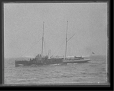 Shearwater