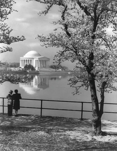 D.C. Washington. Jefferson Memorial. 1944. View with cherry blossoms [from across Tidal Basin]