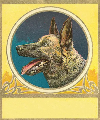 Dog head in circular frame on yellow Art Nouveau label
