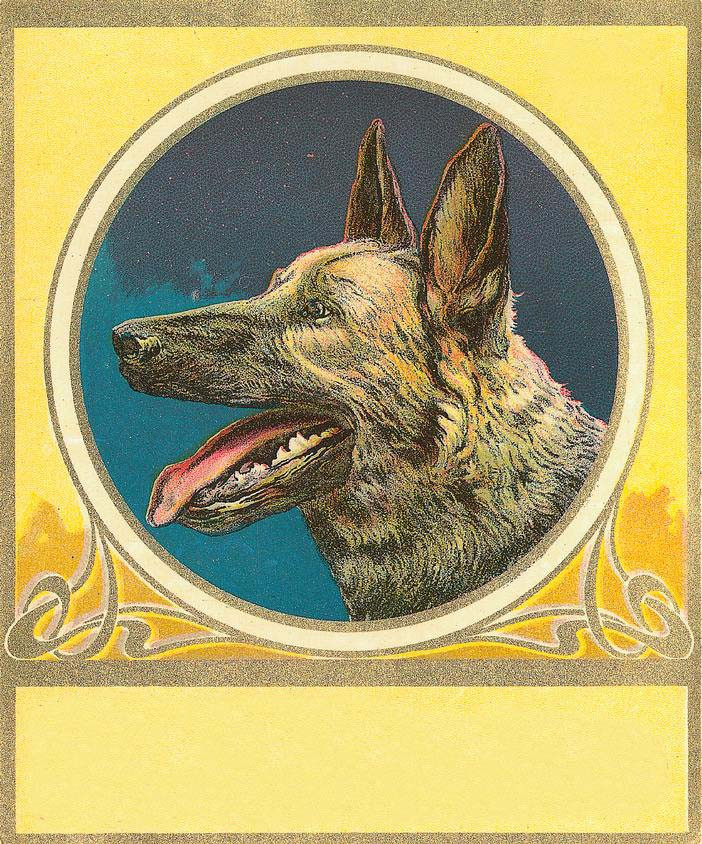 Dog head in circular frame on yellow Art Nouveau label — historic image
