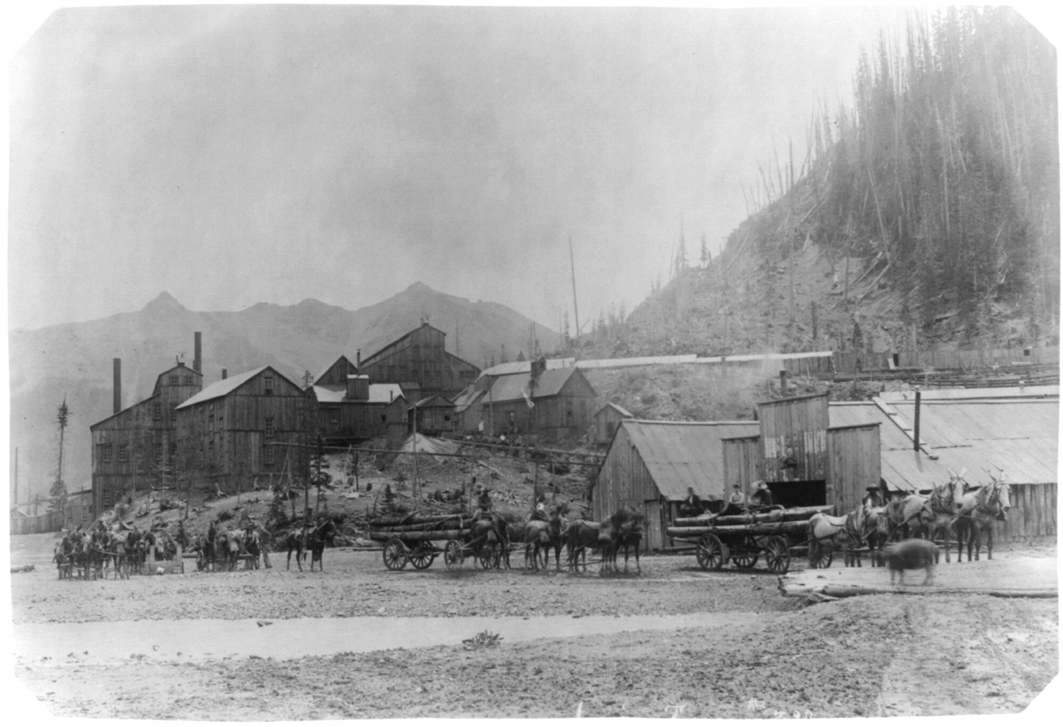 [The Walsh mine at Ouray, Colorado: Revenue Tunnel, Sneffels, Colo., near Ouray], [ca. 1901] — historic photograph