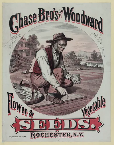 Chase Bro's and Woodward Flower and Vegetable Seeds poster